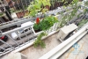 Quality apartment for rent in Ba Dinh district, Hanoi